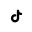 Tiktok icon
